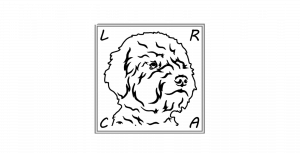 LAgotto Romagnolo Club Austria